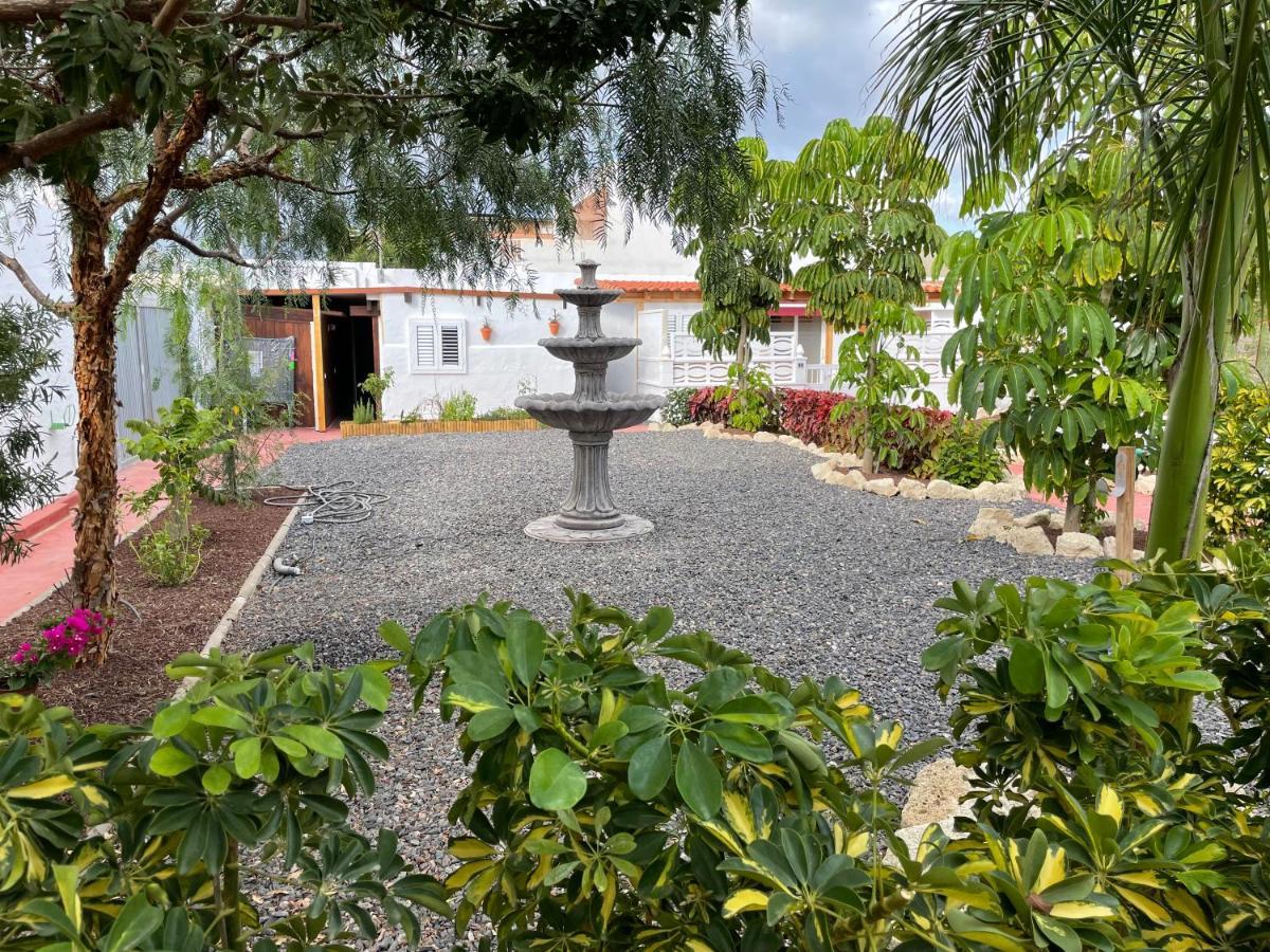 Casitas Rurales Amador Villa Arona  Kültér fotó